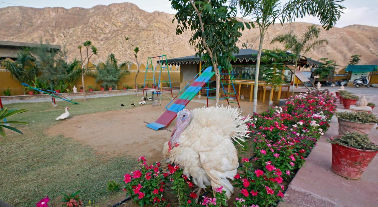 Serene Aravali Resort, Pushkar Zewnętrze zdjęcie